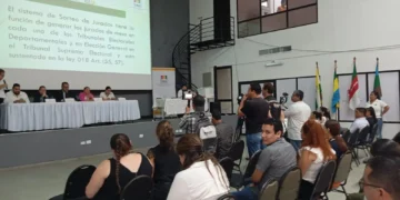 subnacionales