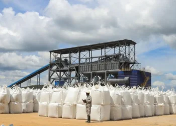 Se teme una eventual reducción en la oferta del litio. Foto: Reporte Minero & Energético.