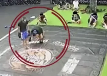 pelea_box.jpg