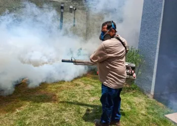 Continúan las fumigaciones en hogares y colegios en Santa Cruz. Foto: Sedes