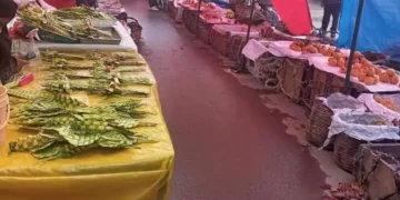 La Feria de Ramos se realizará del 22 al 5 de abril en la Exparada 8 de El Alto. FOTO: Compi Turístico