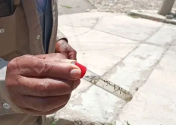 Funcionarios de la Alcaldía hallan mosquitos Aedes aegypti en más de 1.000 viviendas. FOTO>: Sedes