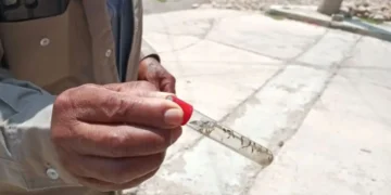 Funcionarios de la Alcaldía hallan mosquitos Aedes aegypti en más de 1.000 viviendas. FOTO>: Sedes