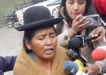 La exdirectora del Fondo Indígena, Elvira Parra. (Foto: APG)