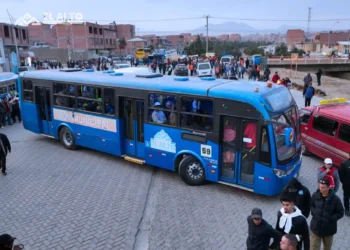 Sectores vulnerables se transportarán de forma gratuita en los buses municipales el viernes 6 de marzo. FOTO: GAMEA