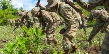 Soldados erradican un cato de coca en el Trópico de Cochabamba. (Foto: Min. de Gobierno)