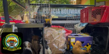 Los canes rescatados por Pofoma en Cochabamba. (Foto: Foforma)