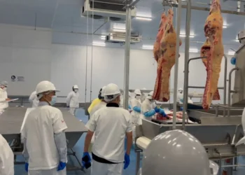 carne