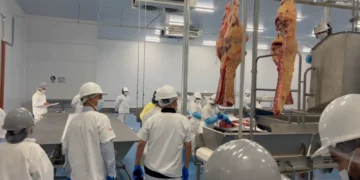 carne