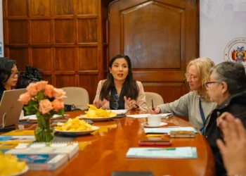 La viceministra de Recursos Hídricos, Riego, Agua Potable, Viviana Mariscal, en reunión con representantes de la cooperación internacional. (Foto: Viceministerio de Recursos Hídricos)