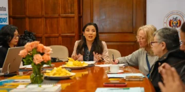 La viceministra de Recursos Hídricos, Riego, Agua Potable, Viviana Mariscal, en reunión con representantes de la cooperación internacional. (Foto: Viceministerio de Recursos Hídricos)