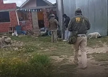 La Policía intensifica la búsqueda de la mujer que atentó contra la vida de sus tres hijos. FOTO: RRSS