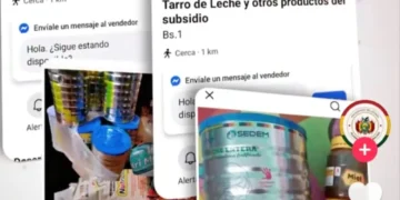 Los productos del subsidio de lactancia son ofrecidos por redes sociales. FOTO: Captura Sedem