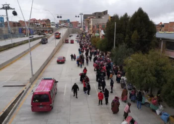 Decenas de greamiales intentan asentarse cerca del nuevo distribuidor de Río Seco. FOTO: GAMEA