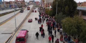 Decenas de greamiales intentan asentarse cerca del nuevo distribuidor de Río Seco. FOTO: GAMEA