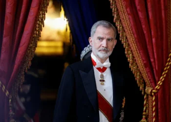 El rey Felipe VI de España /AFP