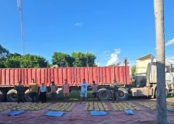 Decomiso de droga junto a un tractocamión  en Santa Cruz.