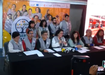 Informe preliminar de Observa Bolivia de las elecciones subnacionales.