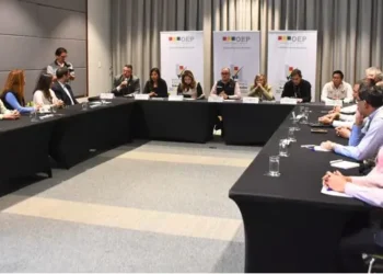 Sala plena del TSE y las misiones de observación internacional (Foto: TSE)
