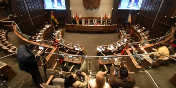 la sesión de Senadores con el informe oral de Medinaceli. Foto: APG