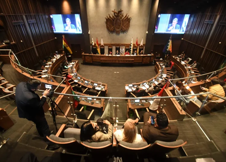 la sesión de Senadores con el informe oral de Medinaceli. Foto: APG