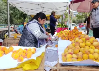 Una productora de La Paz vende su durazno.