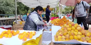 Una productora de La Paz vende su durazno.