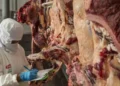 Carne boliviana en un frigorífico. Foto: Archivo