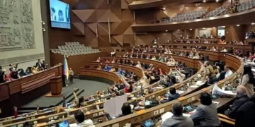 Sesión de la Cámara de Diputados. (Foto: Defensoría)