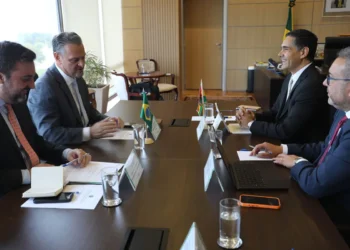 La reunión de la semana pasada entre el ministro Fávaro y autoridades bolivianas. Foto: MDPRyA