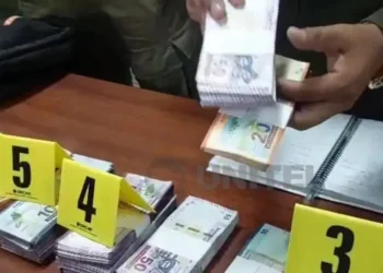 El dinero estaba oculto en una bolsa/Captura de pantalla