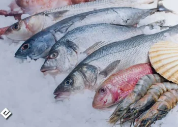 Pescados y mariscos importados. Fuente: emergentcold
