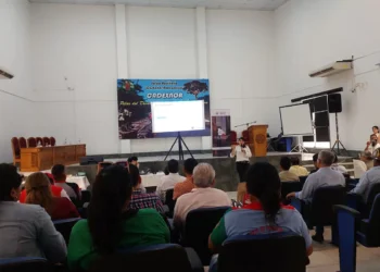 taller