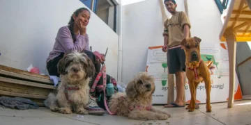 La Alcaldía de Cochabamba realizó 24.000 esterilizaciones a canes. FOTO: GAMC