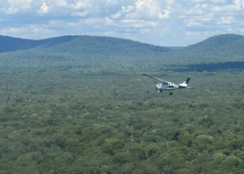 La narcoavioneta supuestamente huyó a territorio boliviano/FAP