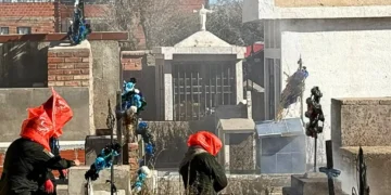 El personal de Bomberos trabajó en la contención del enjambre con chorros de agua. FOTO: Radio Digital Villazón