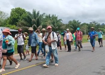 Marcha de campesinos contra la Ley 1720. Foto: RRSS