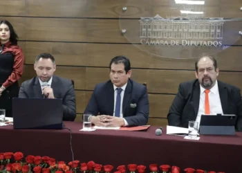 El presidente de la Cámara de Diputados. Foto: Cámara de Diputados