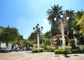 Tarija
Foto referencial