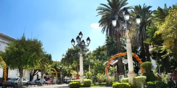 Tarija
Foto referencial