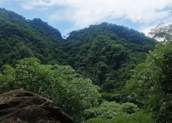 Parque Aguaragüe.
Foto referencial