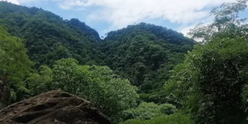 Parque Aguaragüe.
Foto referencial
