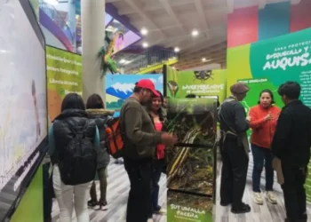 El museo Pipiripi habilitó un nuevo espacio dedicado al área protegida de Auquisamaña. FOTO: GAMLP