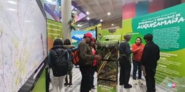 El museo Pipiripi habilitó un nuevo espacio dedicado al área protegida de Auquisamaña. FOTO: GAMLP