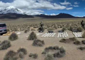 Decomiso de marihuana en el parque Sajama, Oruro. (Foto: Fiscalía)