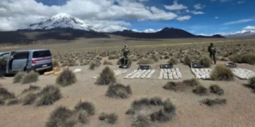 Decomiso de marihuana en el parque Sajama, Oruro. (Foto: Fiscalía)