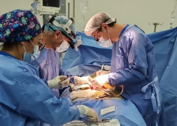 Con éxito se realizó el primer trasplante renal con tecnología laparoscópica. Foto referencial (Ministerio de Salud)