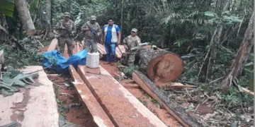 Armada Boliviana refuerza control contra la tala ilegal en el Beni