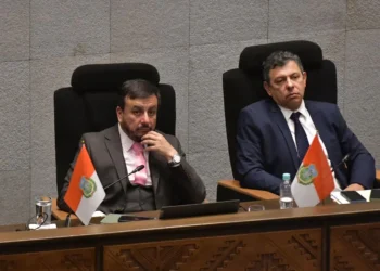 El ministro de Hidrocarburos, Mauricio Medinaceli y el presidente del Senado, Diego Ávila. (Foto: APG)