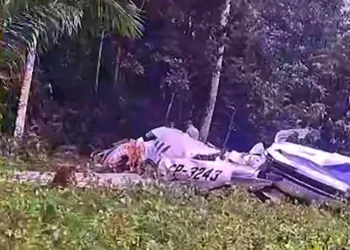 pilotos
